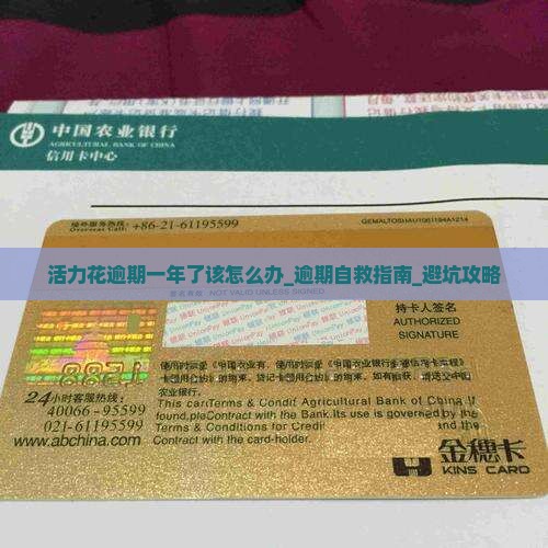 活力花逾期一年了该怎么办