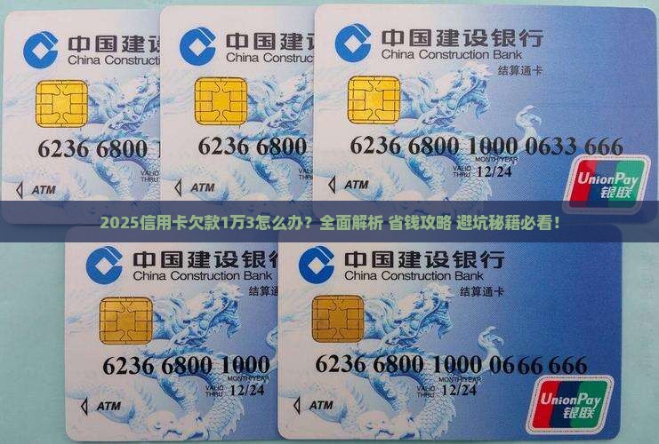 两张信用卡欠款1万3怎么办