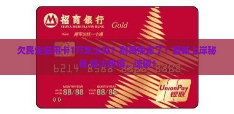 在民生银行欠信用卡1万应该怎么办