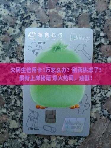 在民生银行欠信用卡1万应该怎么办