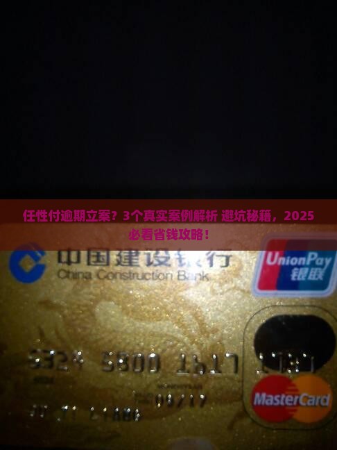 任性付逾期会立案