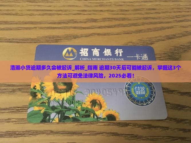 浩瀚小贷逾期多久会被起诉