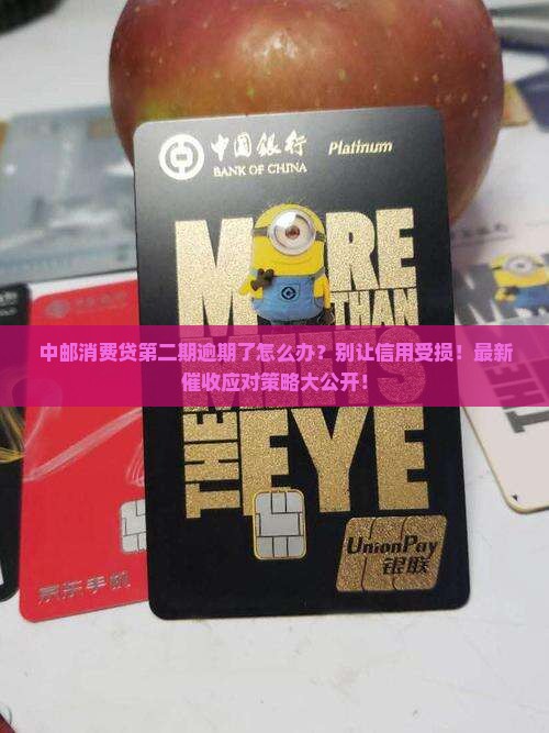 中邮消费贷第二期逾期处理方法