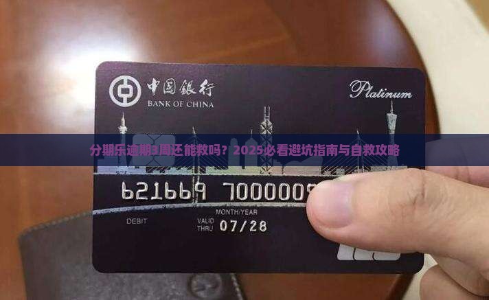 分期乐逾期3周怎么办