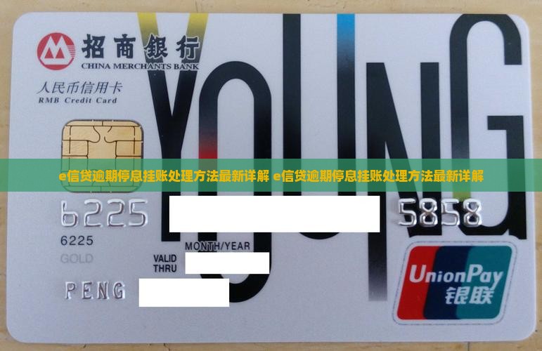 e信贷逾期停息挂账处理方法