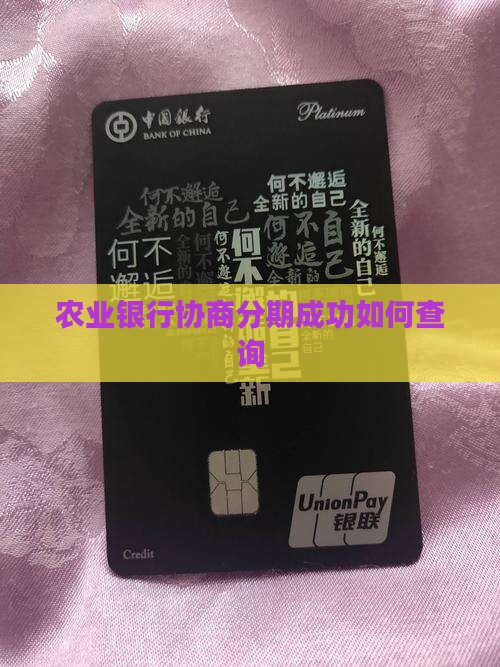 农业银行协商分期成功了吗如何查询