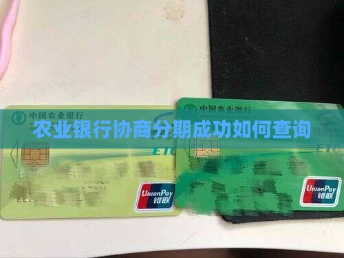 农业银行协商分期成功了吗如何查询