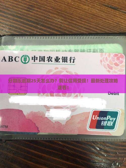 分期乐逾期25天如何处理