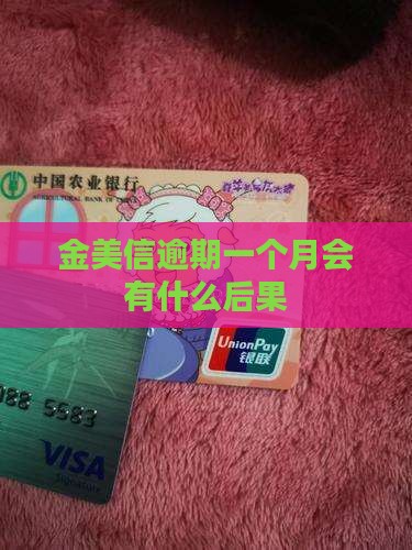 金美信逾期一个月会有什么后果