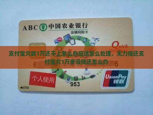 支付宝欠款1万还不上怎么办应该怎么处理