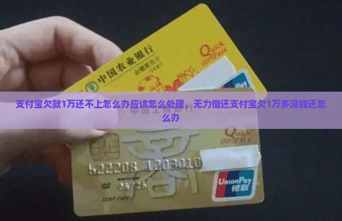 支付宝欠款1万还不上怎么办应该怎么处理