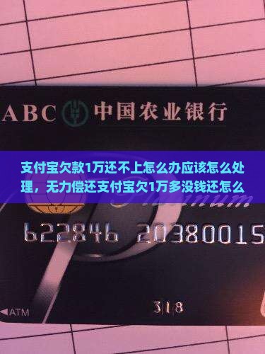支付宝欠款1万还不上怎么办应该怎么处理