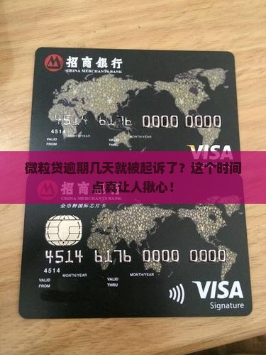 微粒贷逾期几天可以起诉