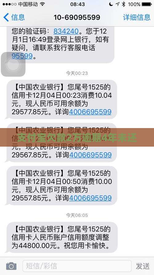 支付宝欠款2万4年未还