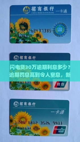 闪电贷30万逾期利息多少