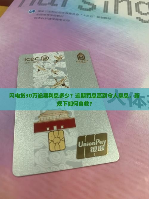 闪电贷30万逾期利息多少
