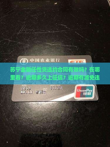 苏宁金融任性贷违约合同
