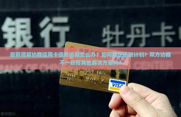 庭前调解协商信用卡怎么办