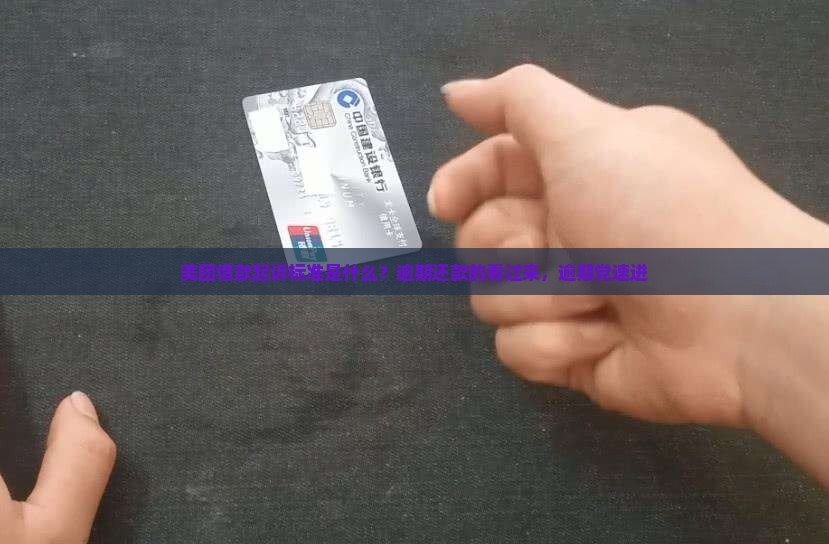 美团借款起诉标准是什么