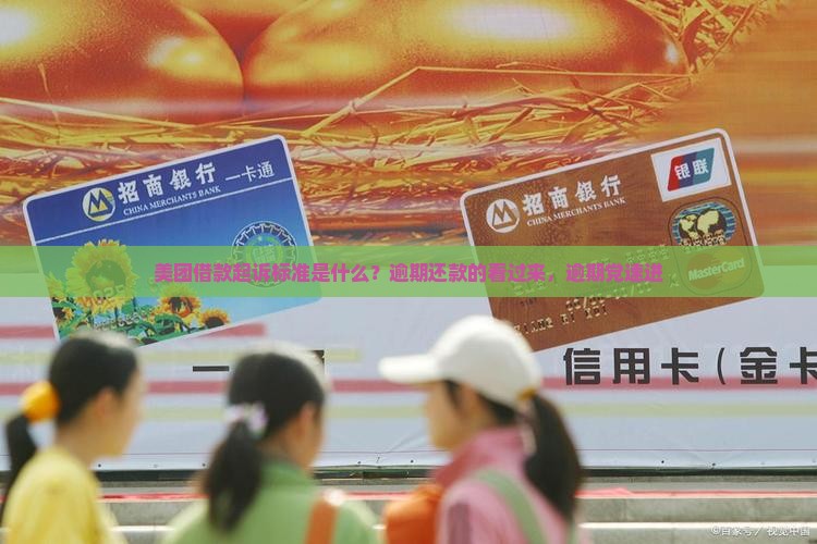 美团借款起诉标准是什么