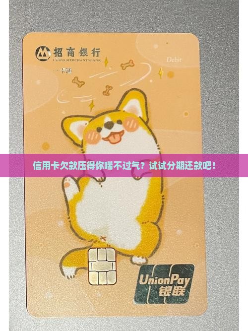 信用卡欠款如何申请分期还款