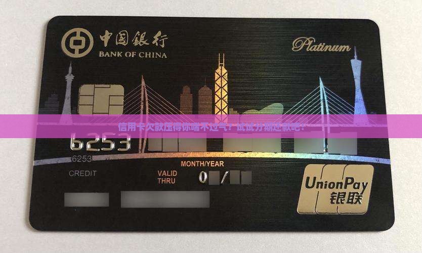 信用卡欠款如何申请分期还款