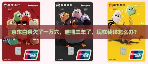 京东白条一万六逾期三年