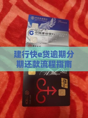 快e贷逾期分期还款流程指南