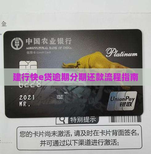 快e贷逾期分期还款流程指南