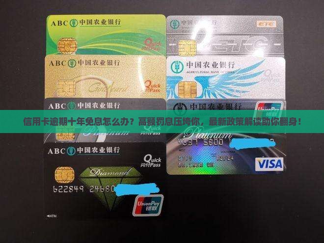 信用卡逾期十年免息怎么办