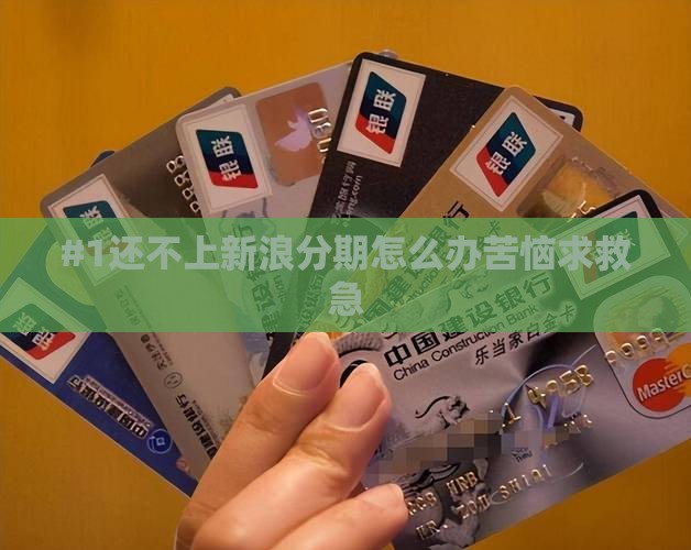 欠新浪分期的钱怎么办啊 欠新浪分期的钱怎么办啊