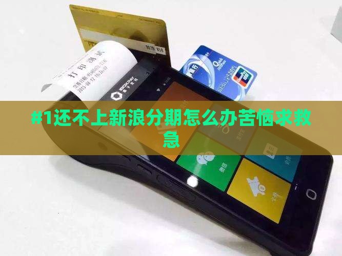 欠新浪分期的钱怎么办啊 欠新浪分期的钱怎么办啊
