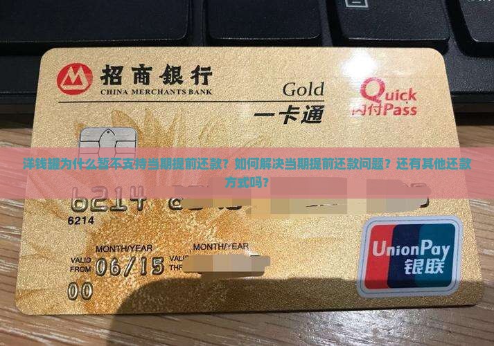 洋钱罐暂不支持当期提前还款是