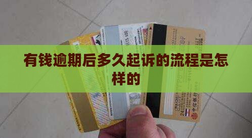 有钱花逾期后多久起诉的流程是怎样的