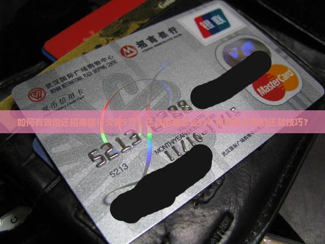 招商银行欠款5万还款技巧