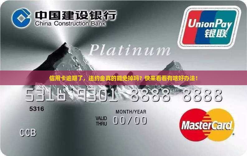 信用卡逾期怎么免除违约金