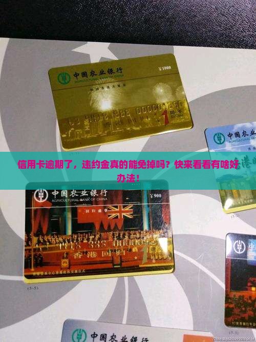 信用卡逾期怎么免除违约金
