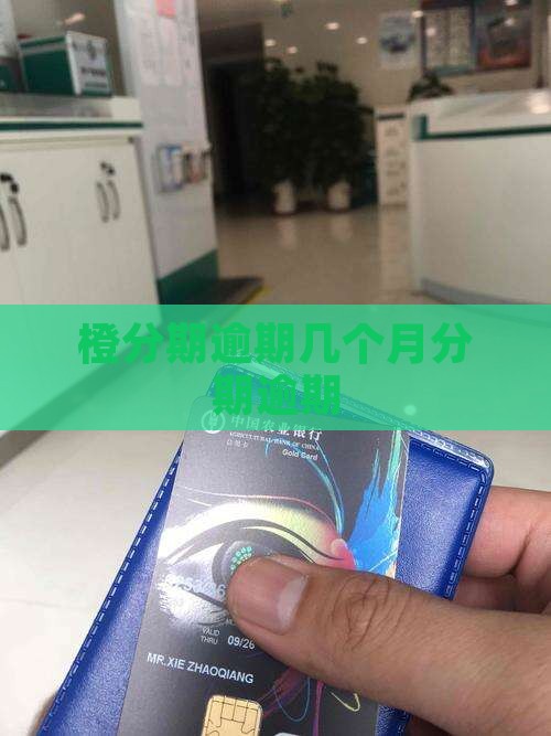 橙分期逾期了几个月