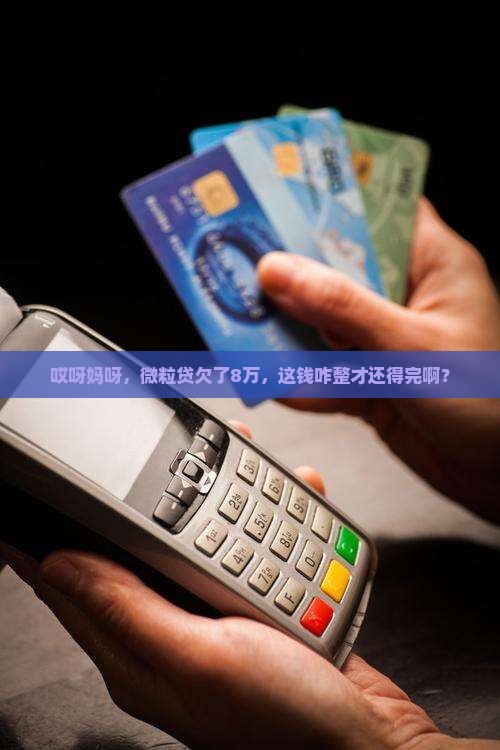 微粒贷欠8万如何还款