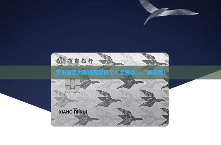 京东白条欠款说要立案了怎么办