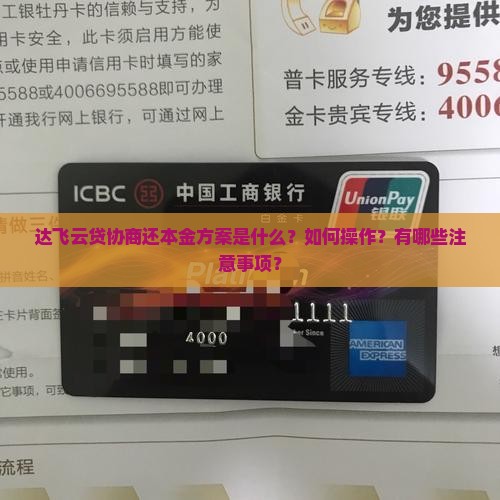 达飞云贷协商还本金解决方案