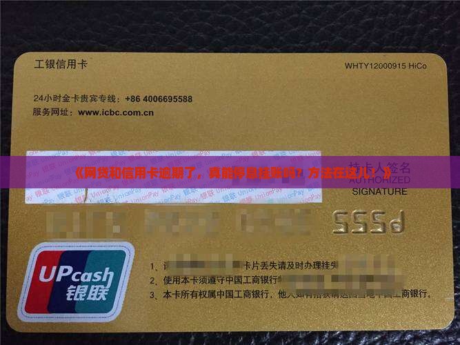 协商网贷信用卡停息挂账方法解析