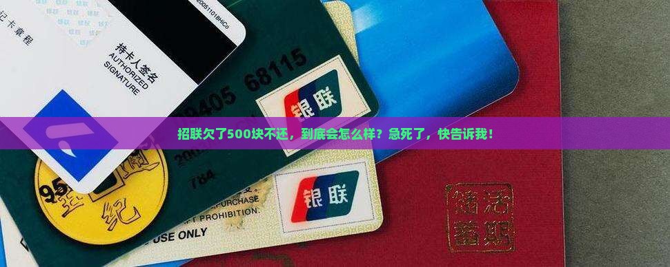 招联金融欠款五百不还会有什么后果