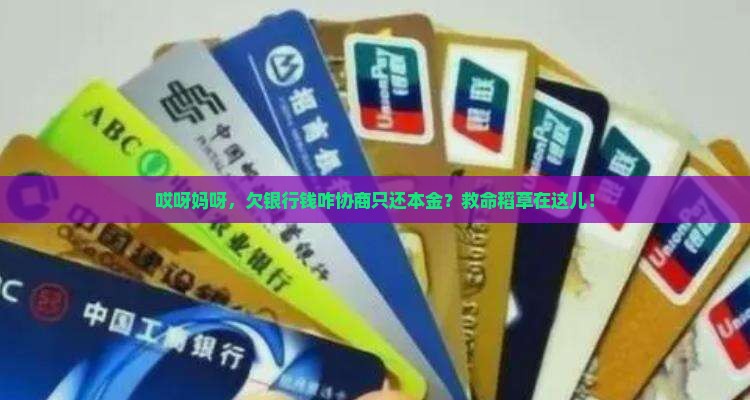 欠银行钱如何协商只还本金