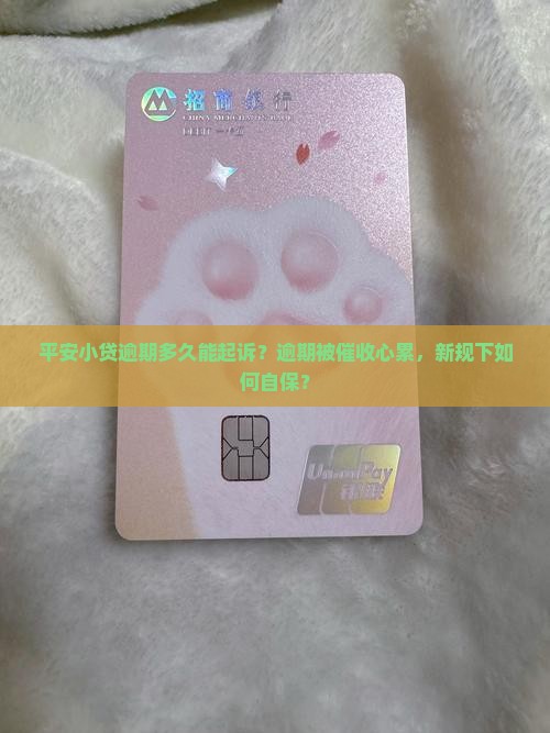 平安小贷逾期多久能起诉