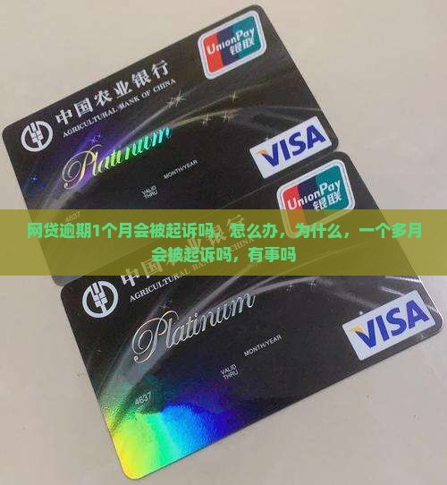 网贷逾期1个月会被起诉吗