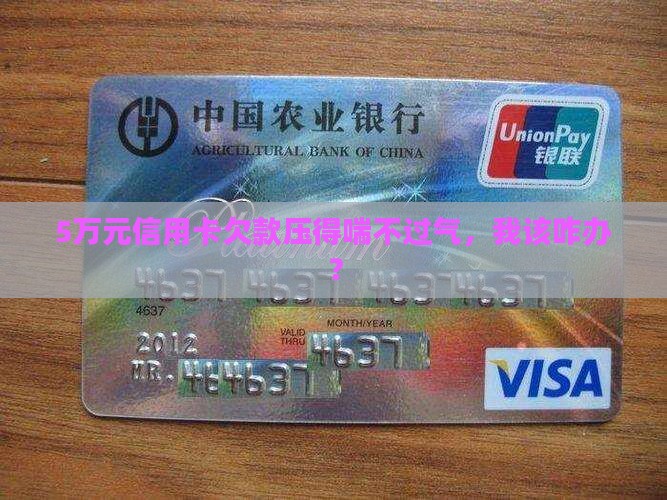 5万元信用卡欠款如何还清