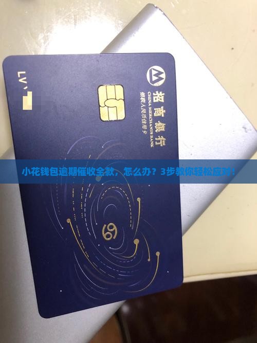 小花钱包逾期催收全款如何处理