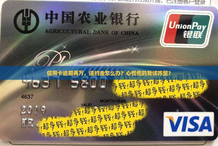 信用卡2万逾期违约金怎么处理