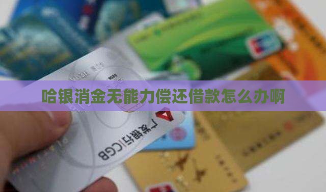 哈银消金无能力偿还借款怎么办